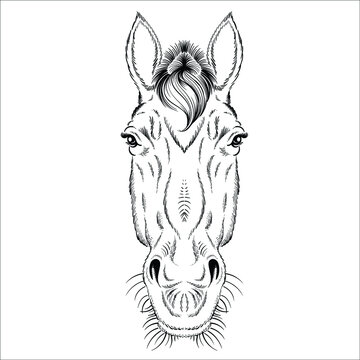 The Vector logo horse for T-shirt print  design or outwear.  Hunting style horse background. This drawing would be nice to make on the black fabric or canvas.