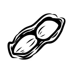 Peanut nut seed vector. Isolated on white background. Peanut butter food ingredient. Engraved hand drawn peanut illustration in retro vintage style. Organic Food, cosmetics, treatment component