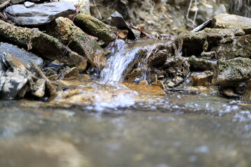 The image mountain stream with clean water.
