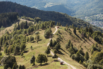 Picturesque landscape with path in The Carpathians