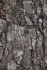 Dark rock texture