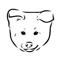 Akita dog face - isolated vector illustration akita inu dog vector