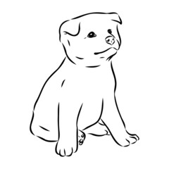 Akita dog face - isolated vector illustration akita inu dog vector