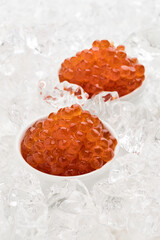 Red caviar in ice. Photograph of food on a light background