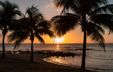 sunrise on the beach
