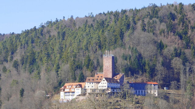 Blick zur Burg Liebenzell