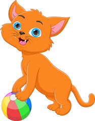 cute cat with an inflatable ball