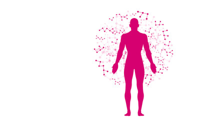 Obraz na płótnie Canvas sistema immunitario, corpo umano, silhouette, 