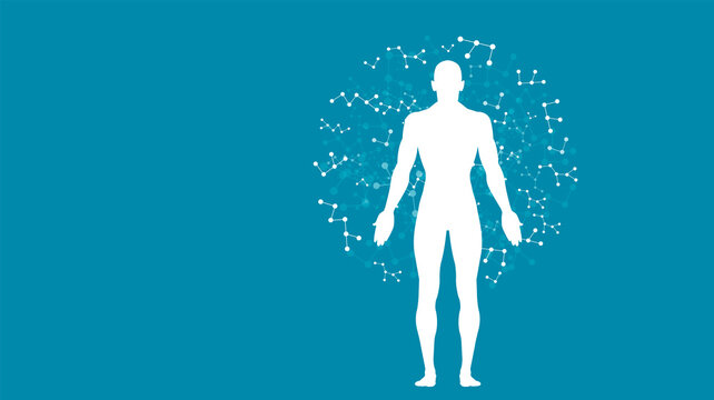 sistema immunitario, corpo umano, silhouette,	