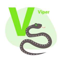 Children ABC with cute animal cartoon vector. English letter V with funny viper flat illustration isolated on white background. Zoo alphabet with snake and caption for preschool education, kids books