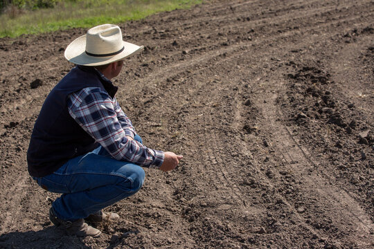 Cowboy rancher planting perennial grass for pasture on the beef cattle ranch