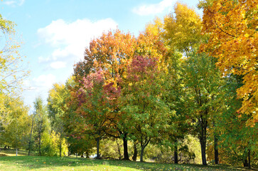 Fototapeta premium Moscow, Kolomenskoye, Golden autumn in sunny day