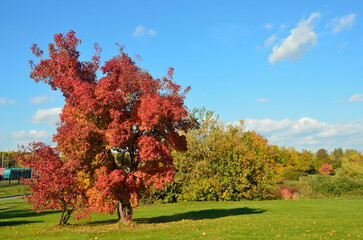 Moscow, Kolomenskoye, russian landscape, golden autumn. Russia