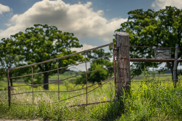 Old fence post and gate that enters into green pasture and oak trees on the ranch