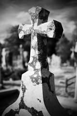 Black and white version of 14762 - Quin Abbey - Franciscan - Quin Friary - Quin - Ennis - Co. Clare...