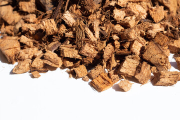 Coconut shell's hair for planting