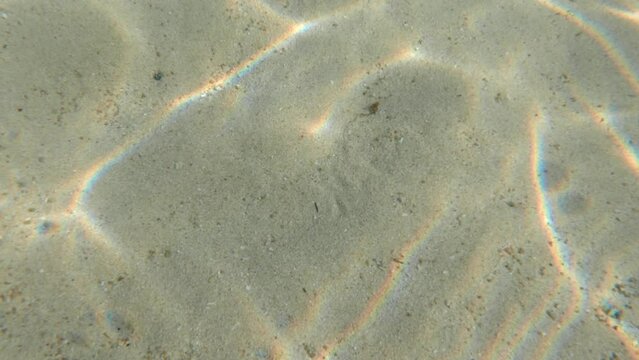 A beautiful live camera footage of sun rays penetrating clear sea water making up beautiful sun dog pattern with rainbow spectrum glow on sand bottom. Natural sun light texture of undersea background
