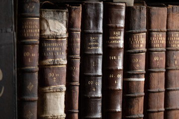 The amazing library of Trinity college in Dublin that has the ancient book of kells. It has amazing collection of books and the wood there smells amazing