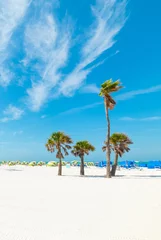 Papier Peint photo autocollant Clearwater Beach, Floride Sable blanc et palmiers à Clearwater Beach