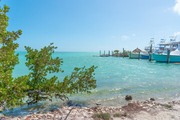 Fototapeta na wymiar Small dock in the Florida Keys on a sunny day