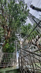 Obraz premium stairway to heaven