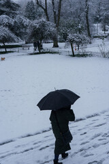 A woman walking along a footpath in a park with an open Umbrella after snowfall.