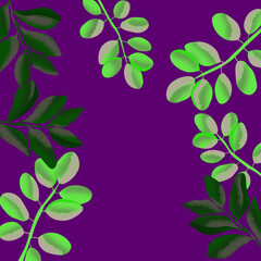 Ilustracja motyw roślinny kolorowe liście fioletowe tło	
 - obrazy, fototapety, plakaty