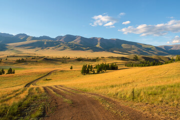 Fototapeta premium Beautiful golden mountain landscape with long dirt road through sunlit steppe to large mountains in white clouds on blue sky. Length road in big mountains.