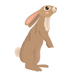 cute rabbit on hind legs flat design, isolated, vector