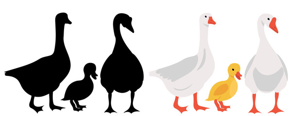 geese and gosling flat design, isolated, vector - obrazy, fototapety, plakaty