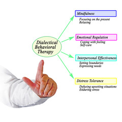  Components of Dialectical Behavioral Therapy - obrazy, fototapety, plakaty