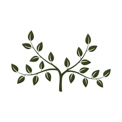 green tree icon. eco, botanical and plant symbol. nature design element with empty space for messages