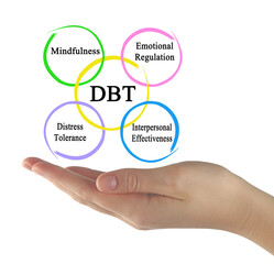  Components of Dialectical Behavioral Therapy