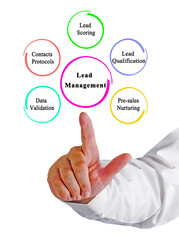 Five Components of Lead Management