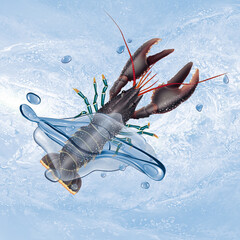 omar, vague, goutte, frais, pêche, congelé, mer, animal, blanc, griffe, fruits de mer poissonnier, brut, fleuve, nature, crabe, poisson, antennes, gros plan, bon vivant, carapace
