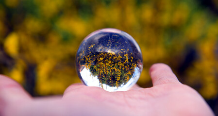 Spring in the glass ball