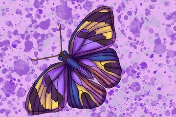 A butterfly sat down on a flower. A butterfly flies from flower to flower.