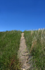Fototapeta na wymiar Path to the Top of Hill
