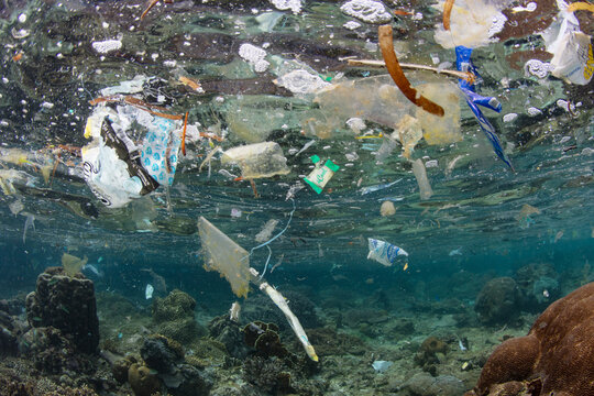 Plastic bags, bottles, and wrappers drift over a coral reef in Indonesia. Over 14 million tons of plastic go into the ocean ever year, causing major problems for marine species.