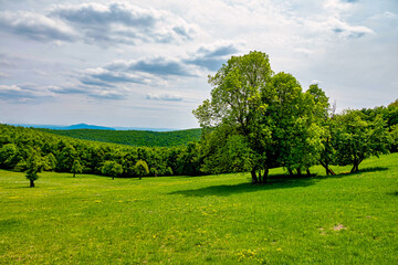 Green hills and cludy sky at spring