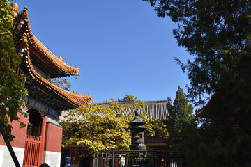 Chinese Buddhist Temple in Beijing, China. Lama Temple