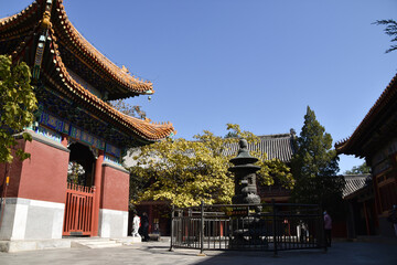 Chinese Buddhist Temple in Beijing, China. Lama Temple
