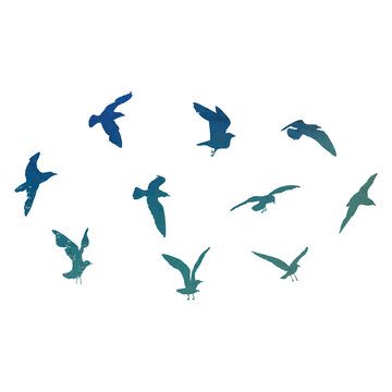 Watercolour silhouette of flying birds seagulls on white background. Inspirational body flash tattoo ink of sea birds. Vector.