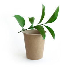 A craft cup with a plant inside. Eco concept. Template. Isolated.