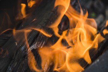 Fototapeta premium Flames of fire. Burning wooden beams. Closeup.