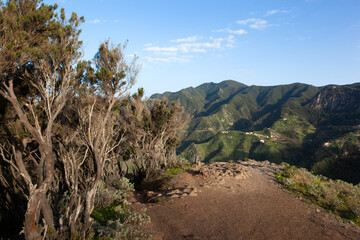 Path on a way to Afur, Anaga Mountains, Tenerife, Spain