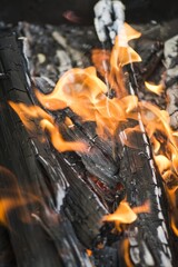 Flames of fire. Burning wooden beams. Closeup.