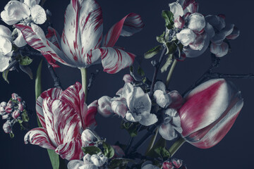 arrangement floral abstrait, tulipes printanières et fleur de pommier sur fond sombre.
