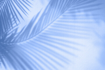 Sombra de palmeras sobre fondo azul. Fondo abstracto. Textura azul.