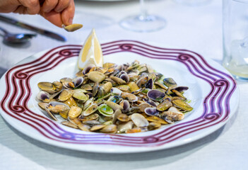 Dish with clams in parsley and lemon sauce.